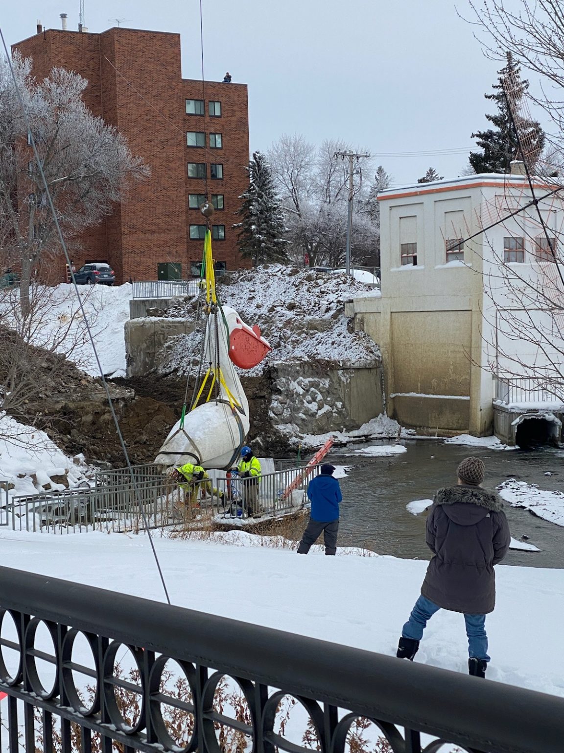 Pelican Pete Statue Relocated as part of Mill Pond Dam Removal in